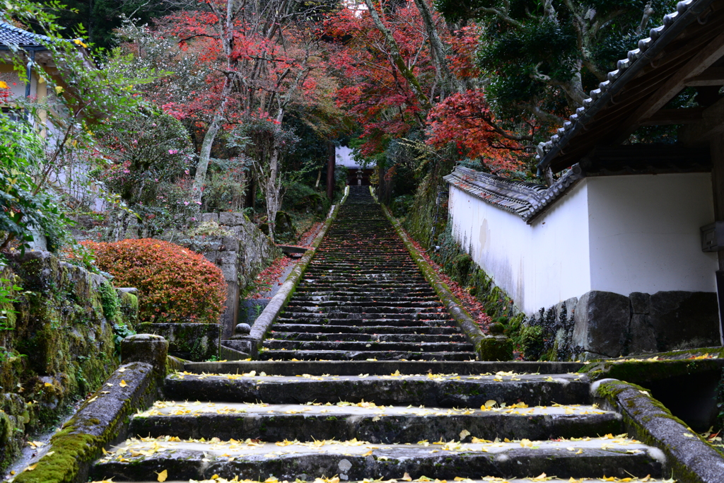 竹林山常勝寺