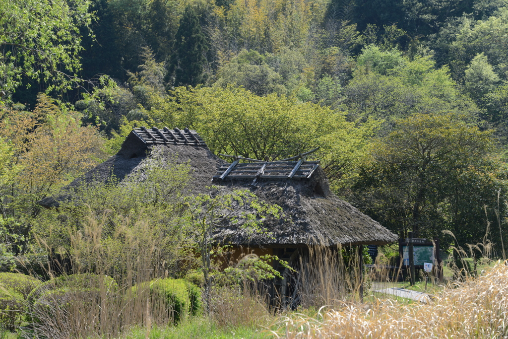 八塔寺ふるさと村