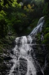 飛龍の滝