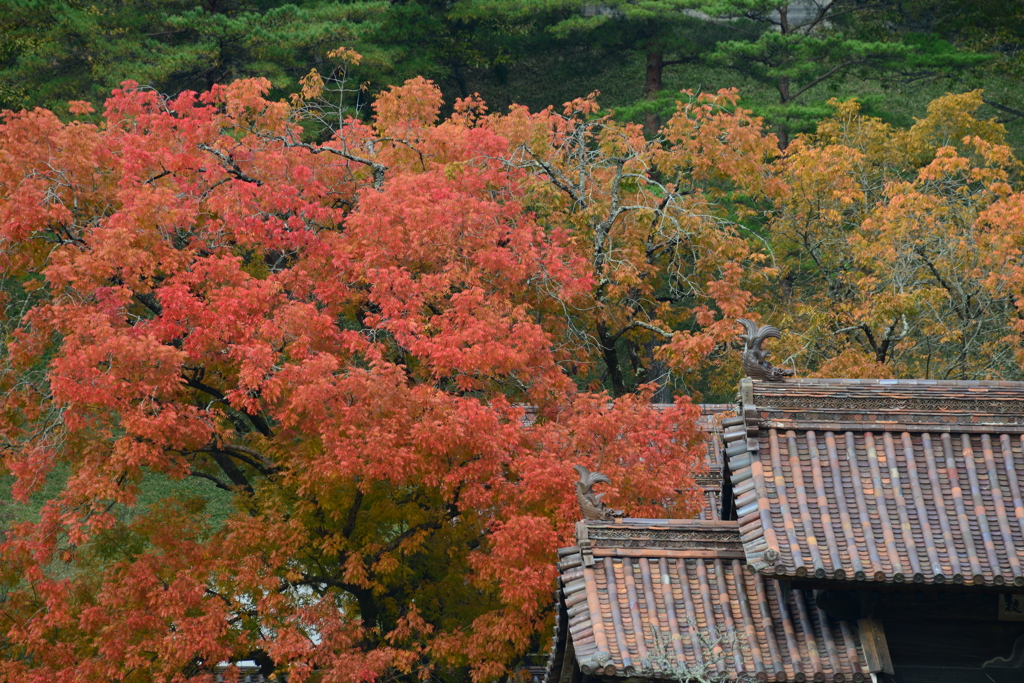 閑谷学校