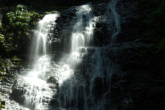 飛龍の滝
