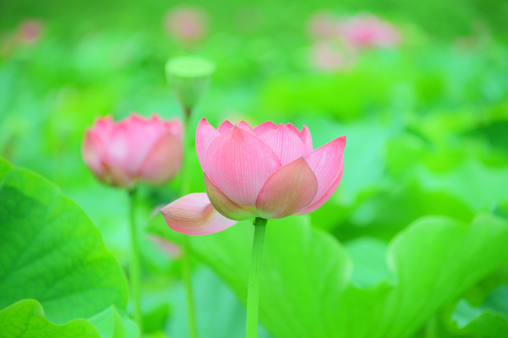 宮地やすらぎの里