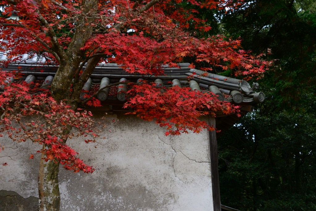 書寫山圓教寺