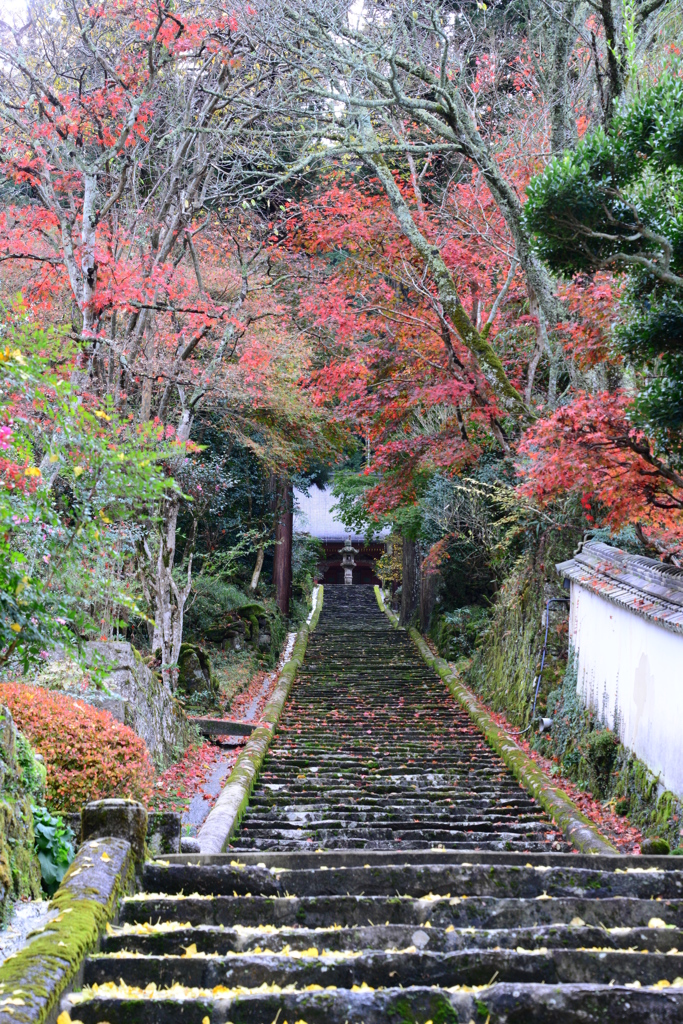 竹林山常勝時