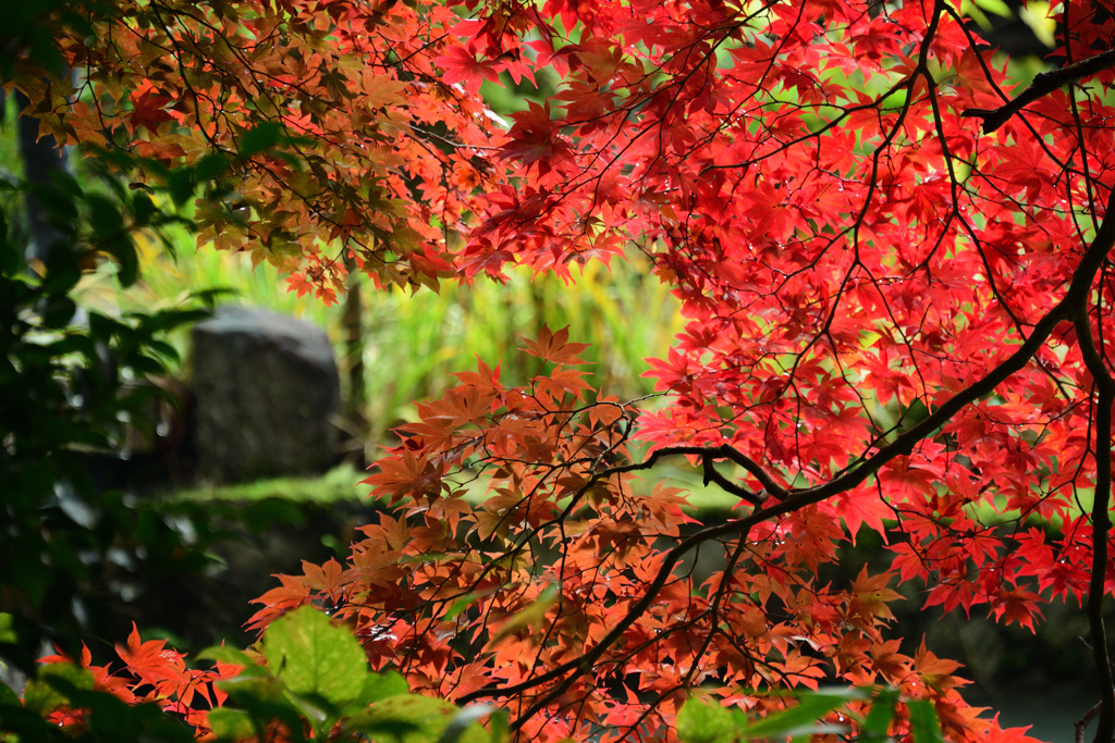 安泰山大國寺
