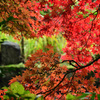 安泰山大國寺