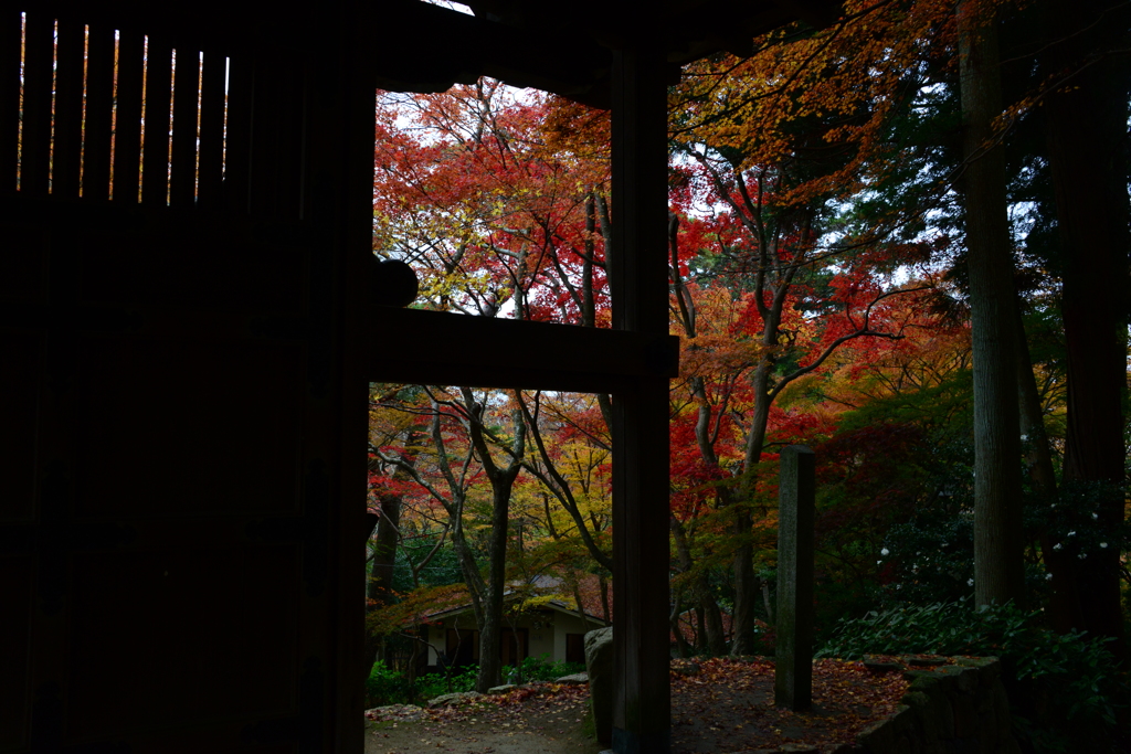 瑞宝寺公園