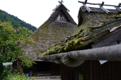 かやぶきの里（南丹市美山町）