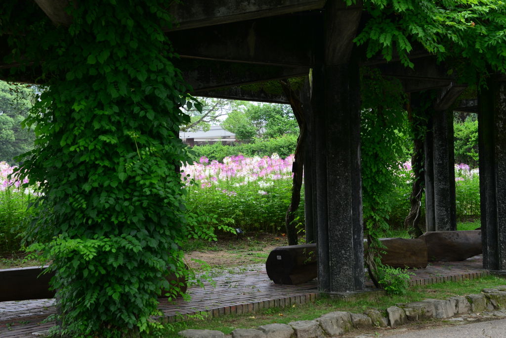 兵庫県立フラワーセンター