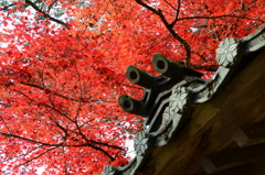 大本山永平寺御直末五鈷山光明寺（壱）