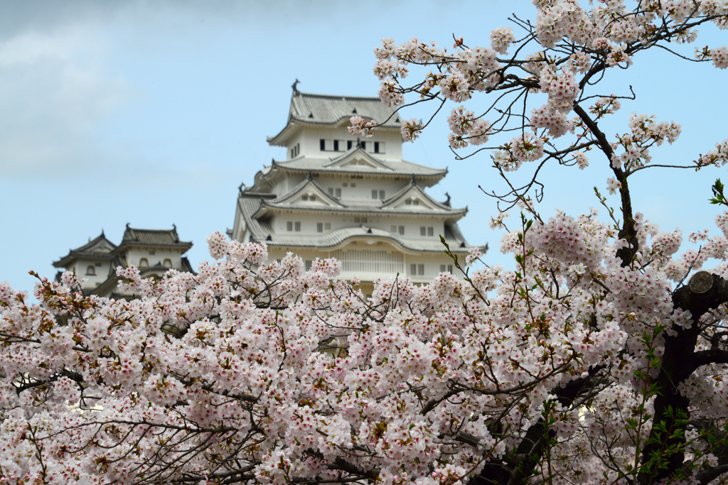 姫路城