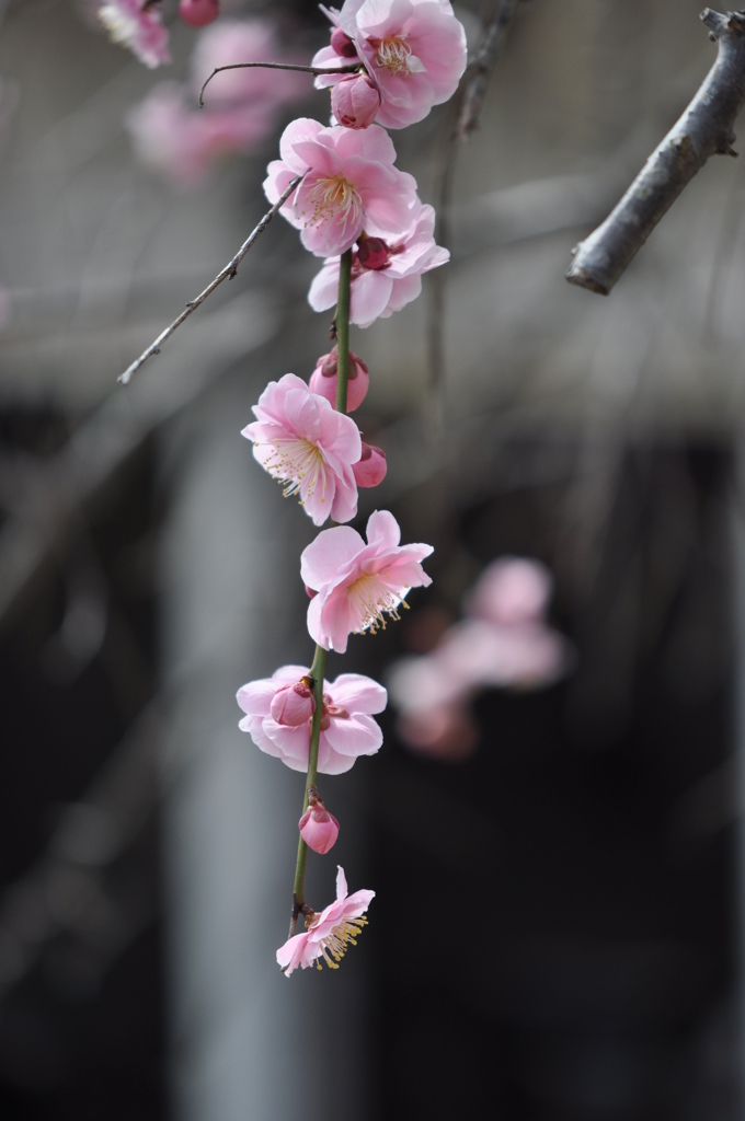 山麓窯（岡山県備前市）