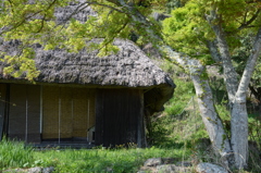 八塔寺ふるさと村