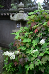 住吉神社