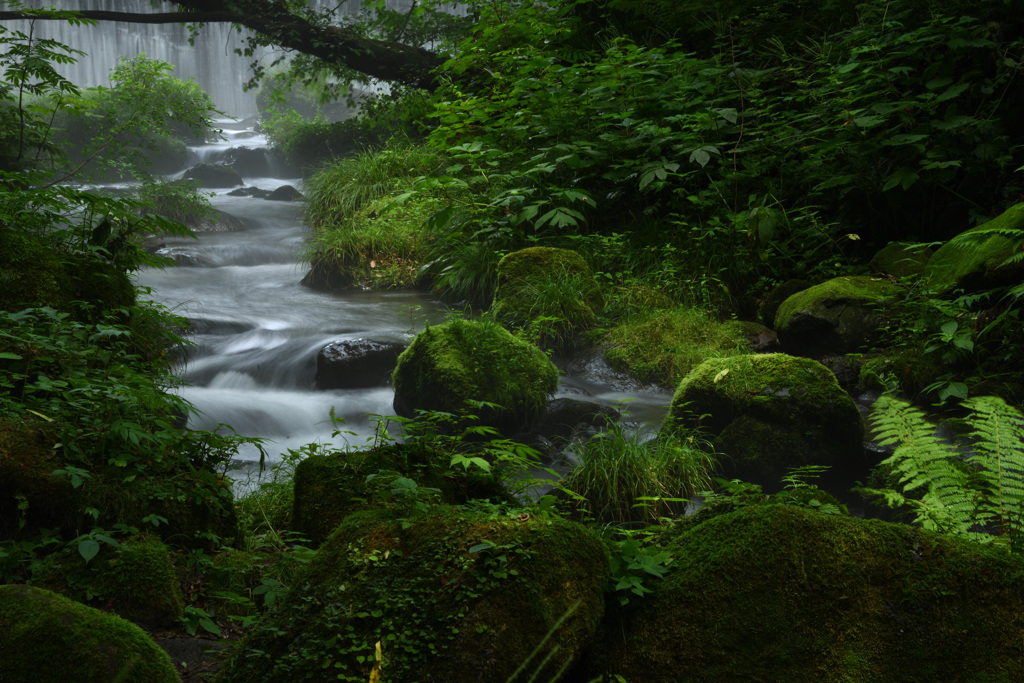 奥大山木谷沢渓流