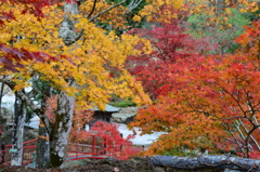 大本山永平寺御直末五鈷山光明寺（弐）