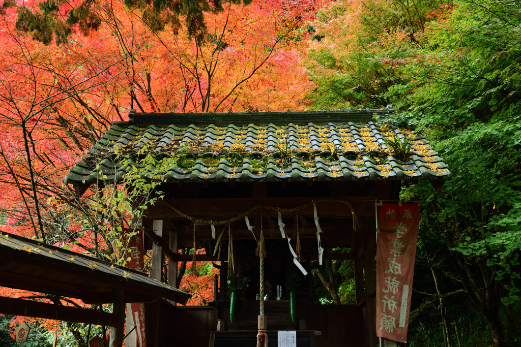 安泰山大國寺