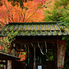 安泰山大國寺