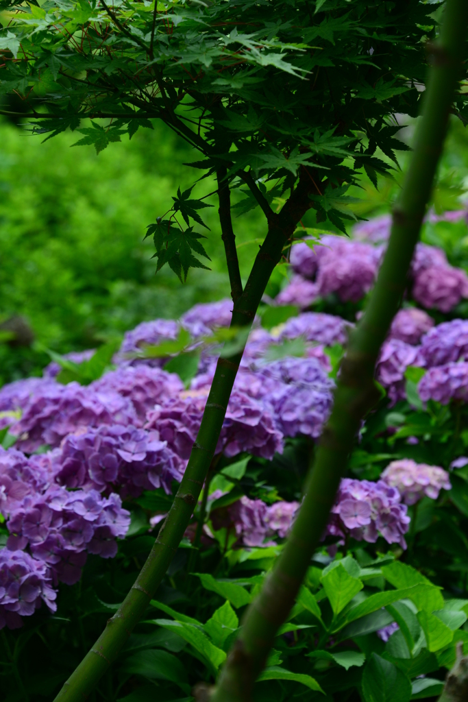 美咲花山園
