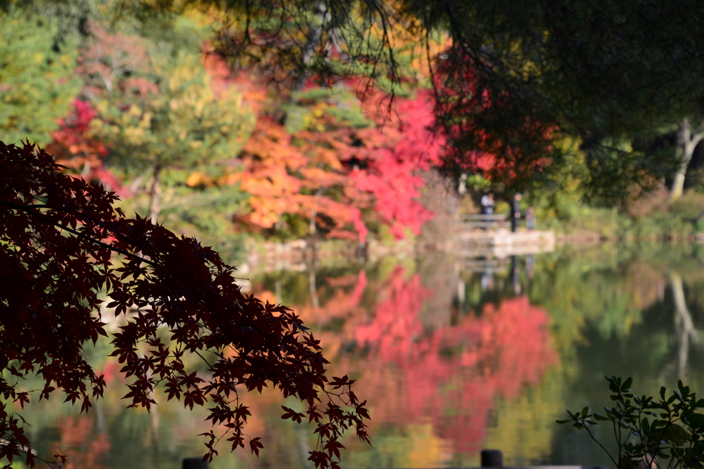 再度公園（七）