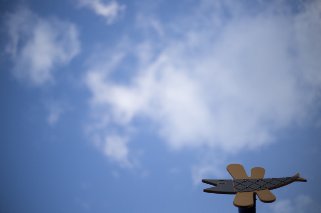 空泳ぎ