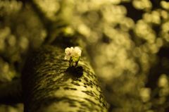 IMG_8473