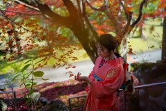 紅葉と静かなまなざし＠海藏山龍雲寺（島根県浜田市三隅町）