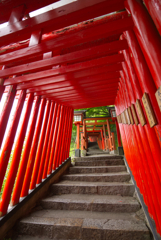 千本鳥居＠太皷谷稲成神社（島根県・津和野町）