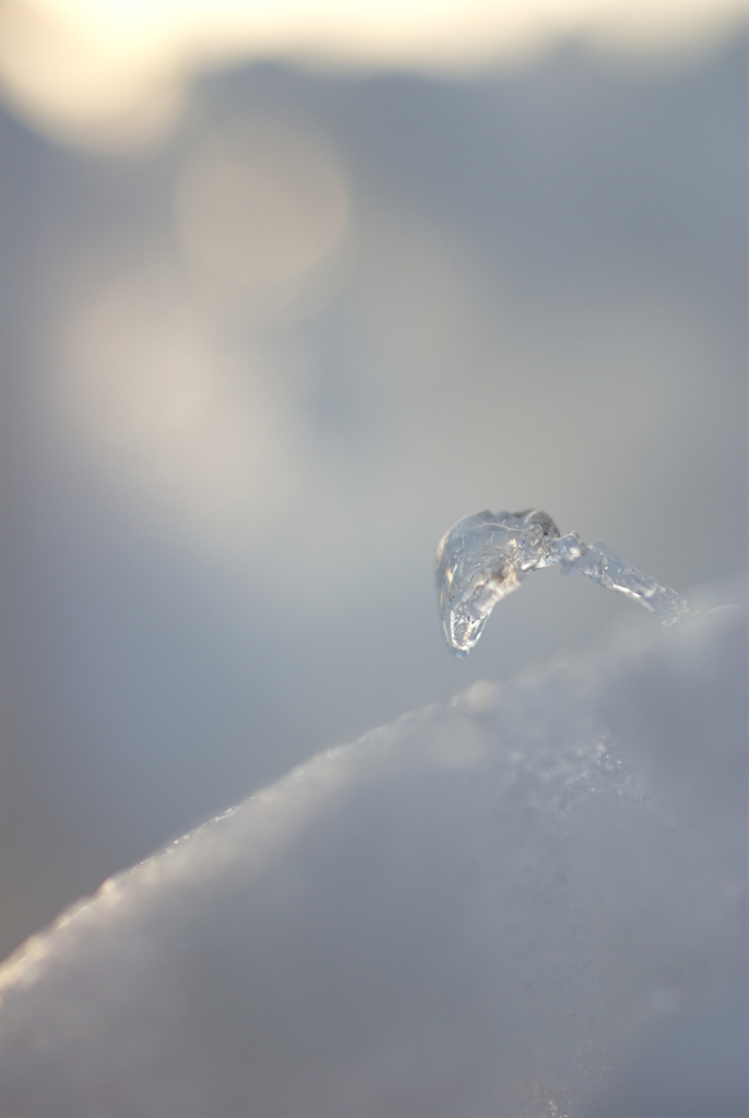 積まれた雪の中で その2