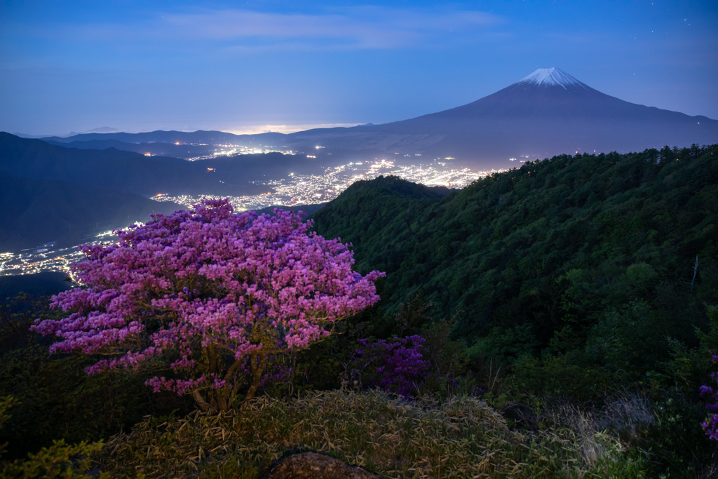 花そえて