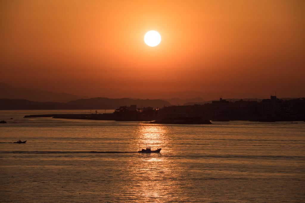 陽光を浴びて