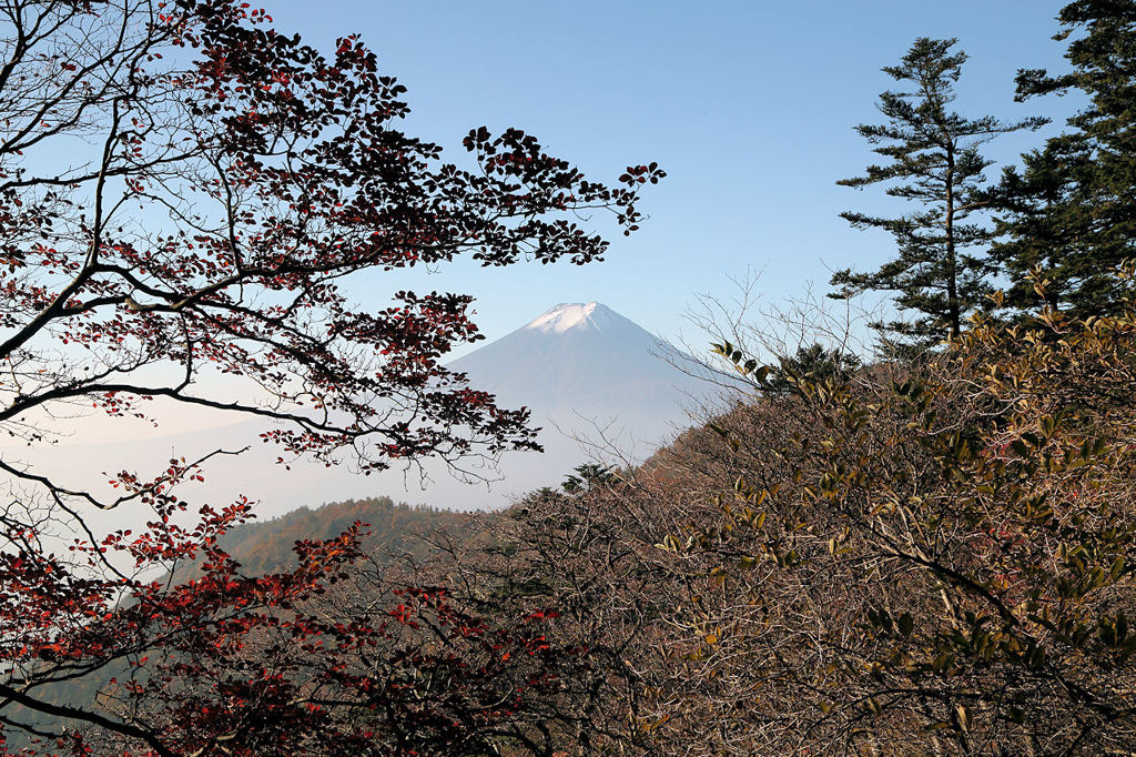 晩秋の三つ峠山にて...　kachikohさんと富士山三昧（^-^）