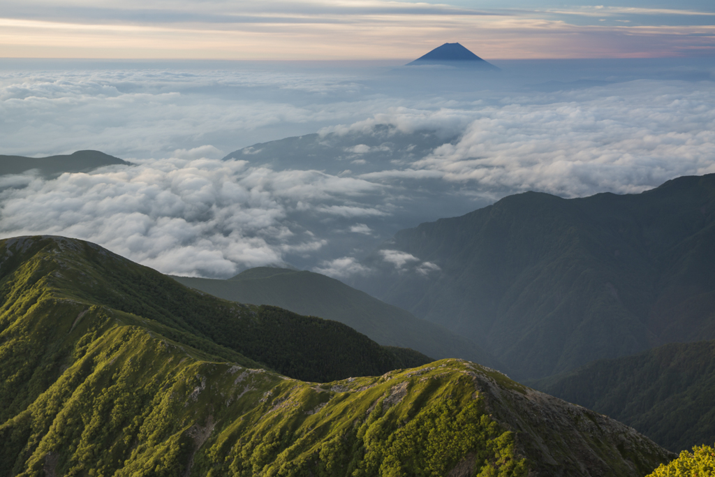 雲上の夏嶺