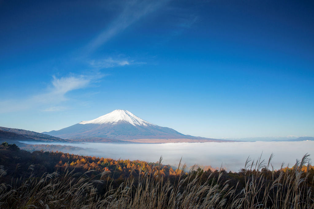 晩秋のパノラマ台にて...