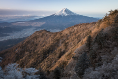 雲に阻まれて...