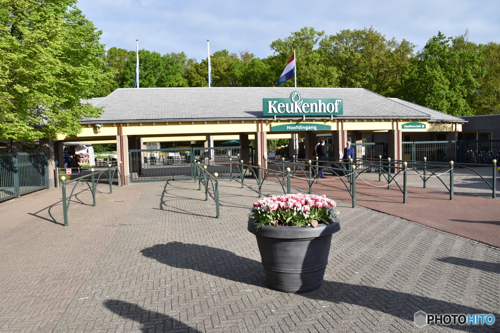 キュウケンホフ公園Keukenhof1