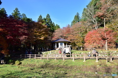 長浜市　鶏足寺#1