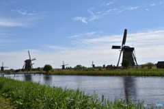 キンデルダイクKinderdijk3