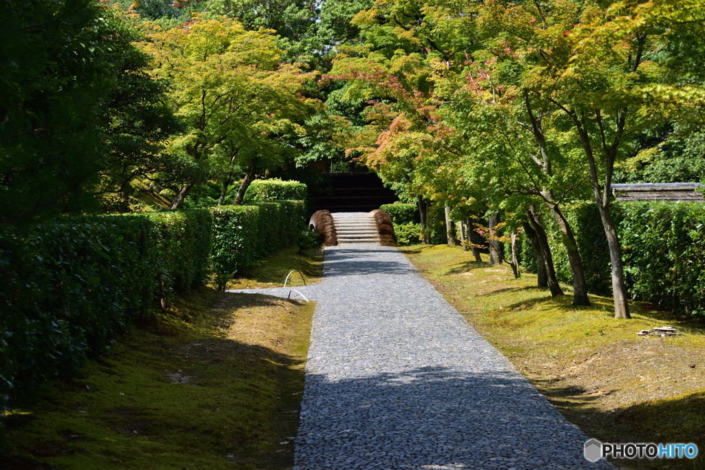 桂離宮-御幸道