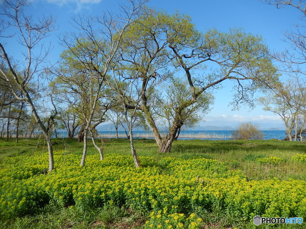 空　琵琶湖　ノウルシ