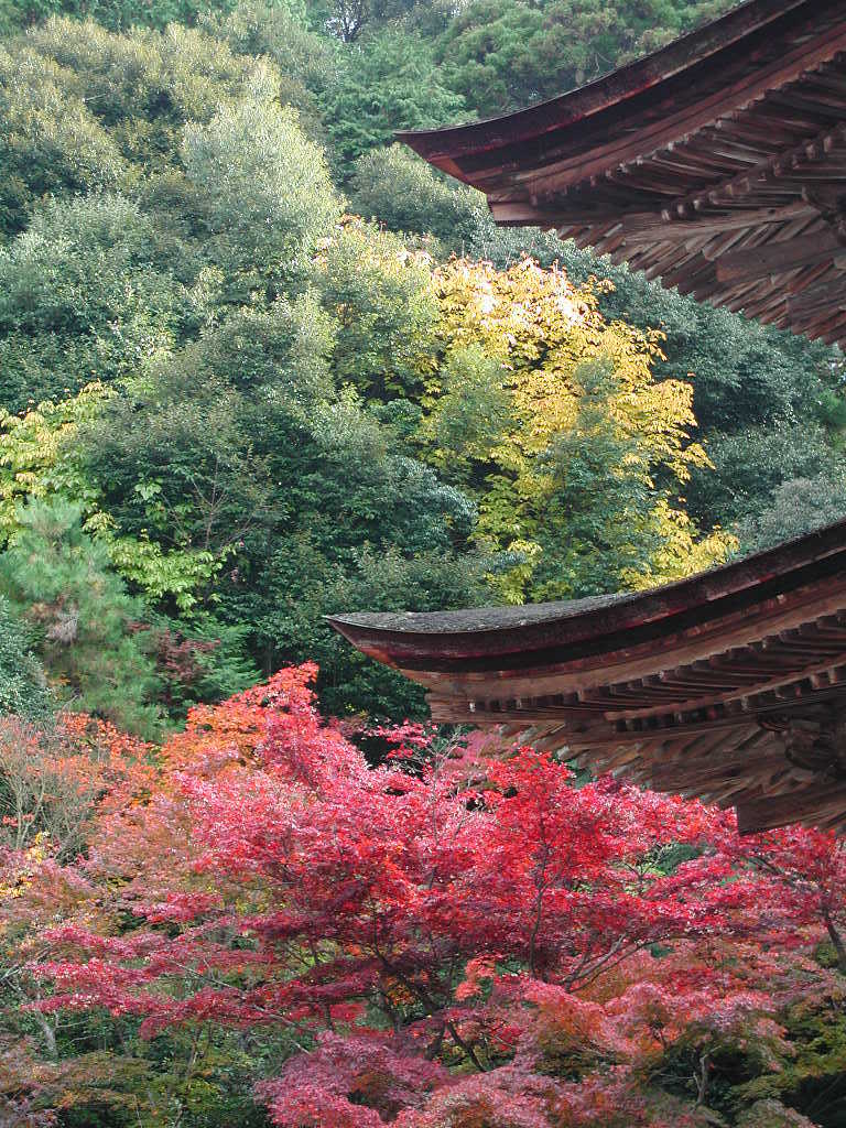 東近江市　西明寺