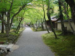 京都　天竜寺界隈