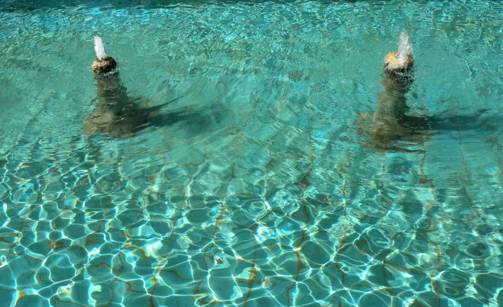 水と光