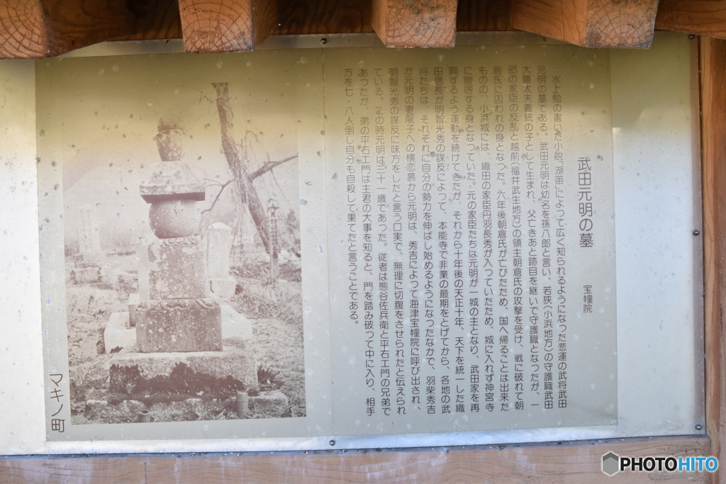 武田元明