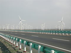 中国　新疆ウイグル　風力発電の森