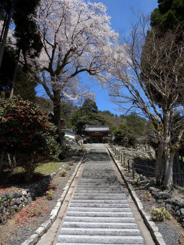 高島市　古刹酒波寺2012#3