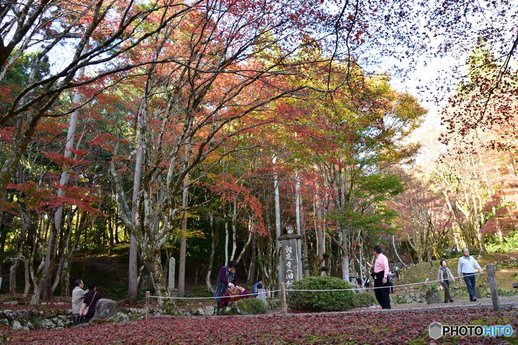 長浜市　鶏足寺#5