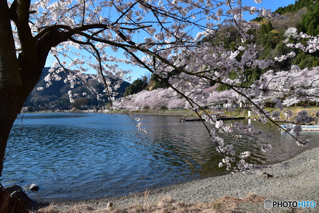 海津大崎