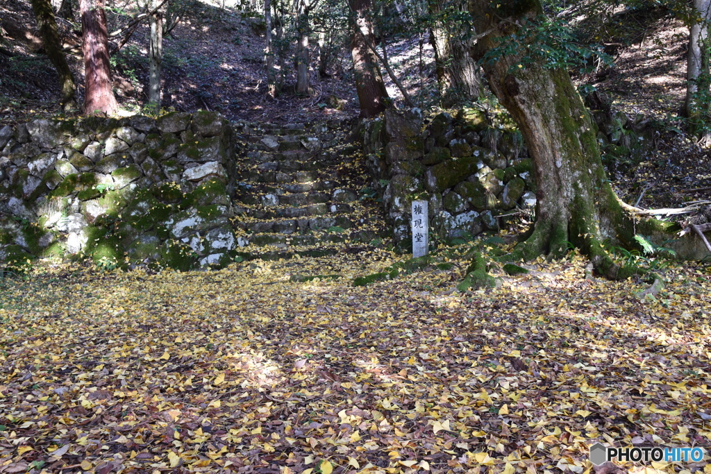 長浜市　鶏足寺#2