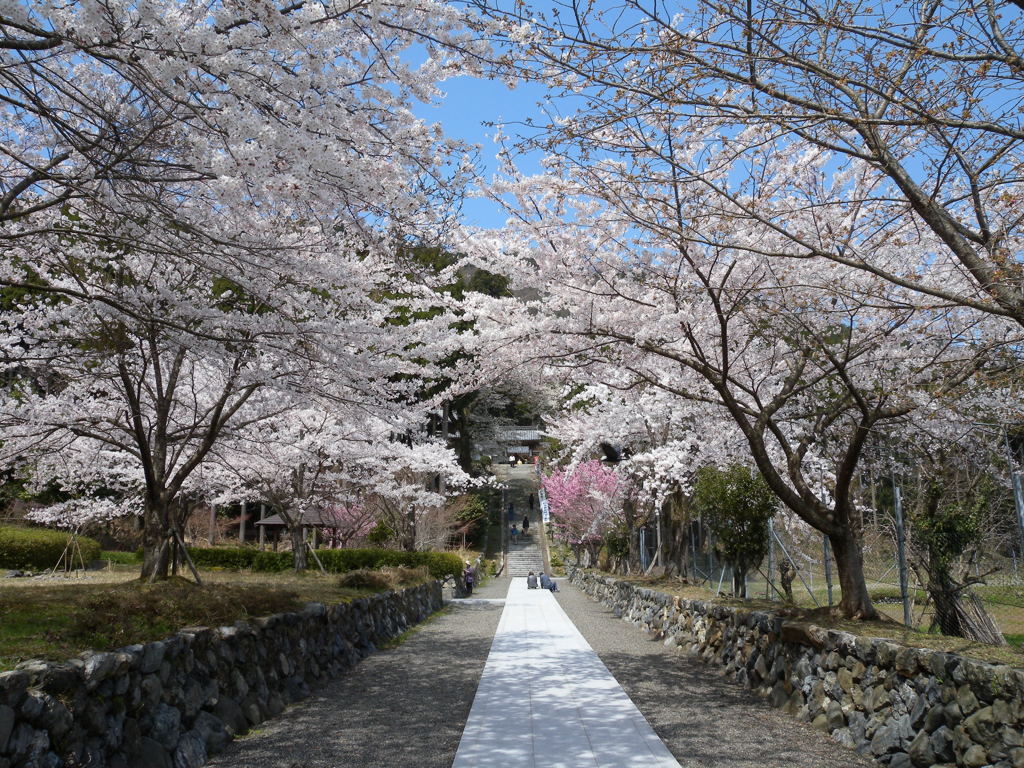 古刹 酒波寺 By Blue Balloon Id 写真共有サイト Photohito